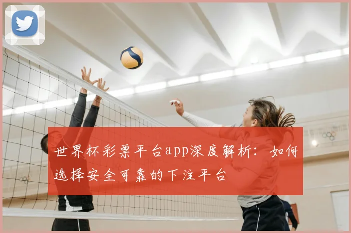 世界杯彩票平台app深度解析:如何选择安全可靠的下注平台