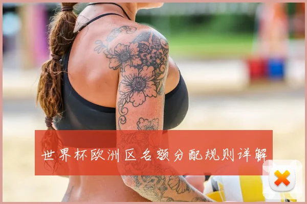 世界杯欧洲区名额分配规则详解
