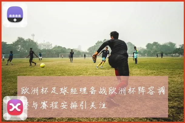 欧洲杯足球经理备战欧洲杯阵容调整与赛程安排引关注