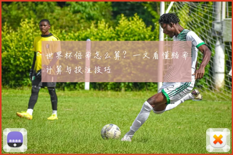 世界杯倍率怎么算?一文看懂赔率计算与投注技巧