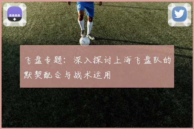 飞盘专题：深入探讨上海飞盘队的默契配合与战术运用