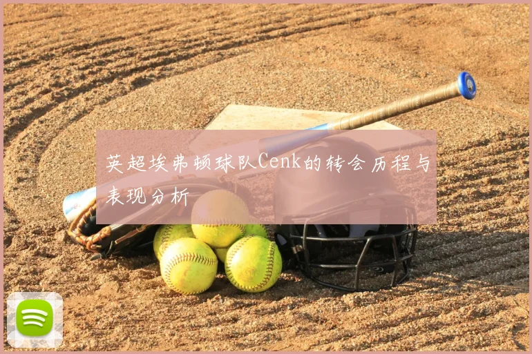 英超埃弗顿球队Cenk的转会历程与表现分析