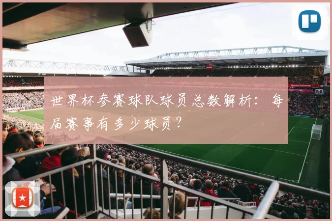 世界杯参赛球队球员总数解析:每届赛事有多少球员?