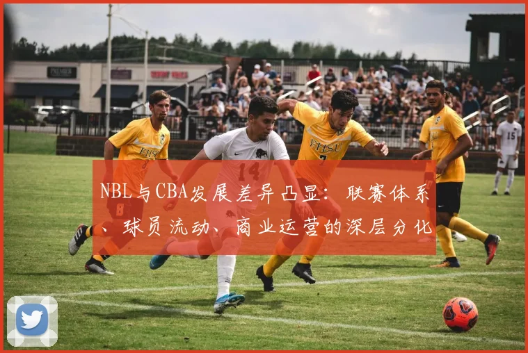 NBL与CBA发展差异凸显:联赛体系、球员流动、商业运营的深层分化