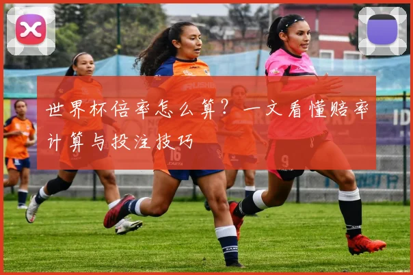 世界杯倍率怎么算?一文看懂赔率计算与投注技巧