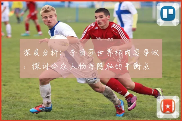 深度分析：李丽莎世界杯内容争议，探讨公众人物与隐私的平衡点