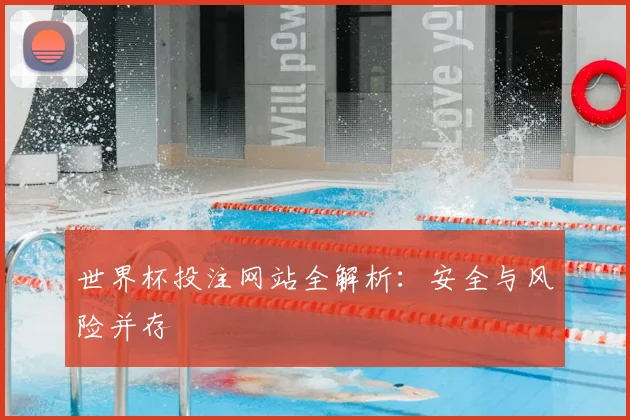 世界杯投注网站全解析：安全与风险并存