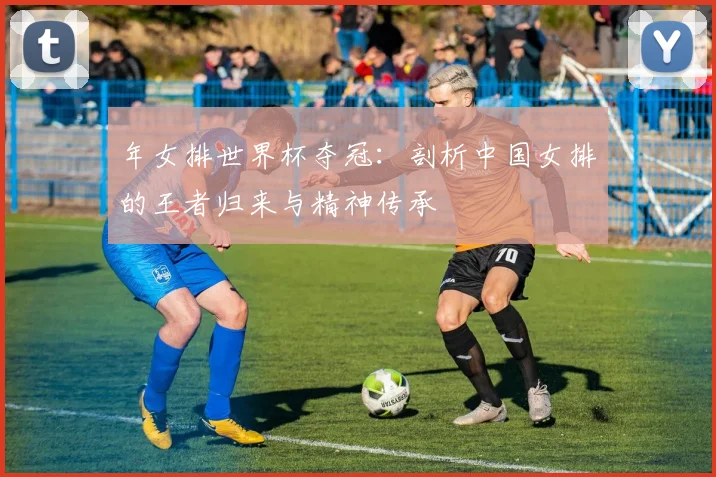 年女排世界杯夺冠：剖析中国女排的王者归来与精神传承