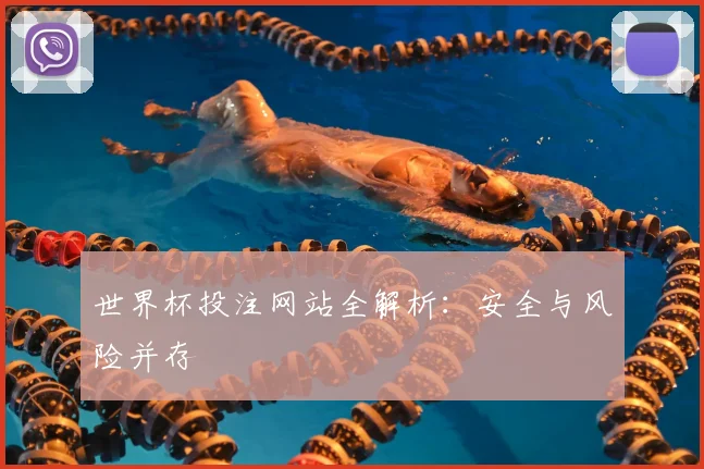 世界杯投注网站全解析：安全与风险并存