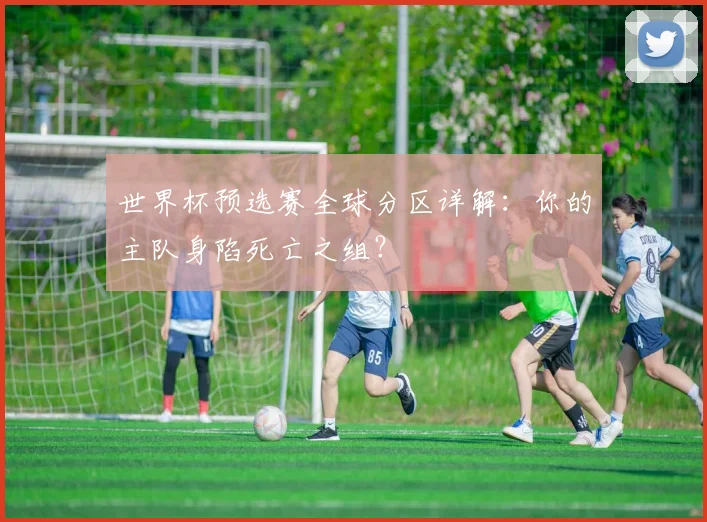 世界杯预选赛全球分区详解:你的主队身陷死亡之组?