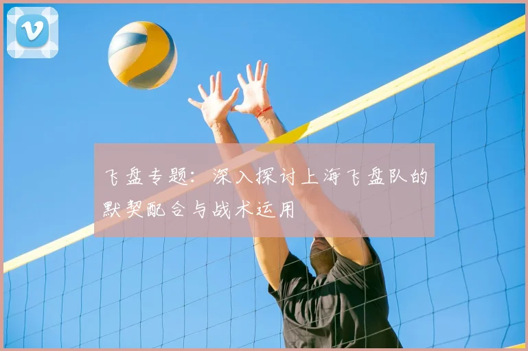飞盘专题:深入探讨上海飞盘队的默契配合与战术运用