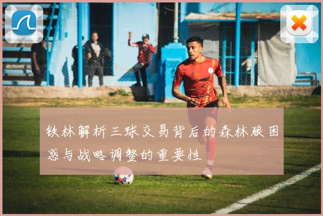 铁林解析三球交易背后的森林狼困惑与战略调整的重要性