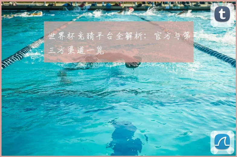 世界杯竞猜平台全解析：官方与第三方渠道一览